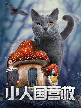 亚洲成人一区在线