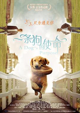 亚洲激情成人