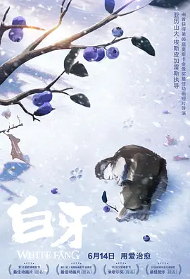美女黄的全免费