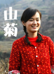 白木优子在线观看