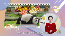 小蝌蚪幸福宝入口导航