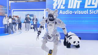 国产高清在线不卡